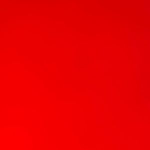 Meet your Posher, Sammy